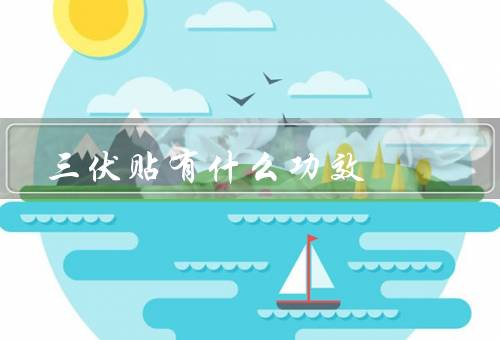 三伏贴有什么功效，疏风清热／驱寒散湿／祛湿利水