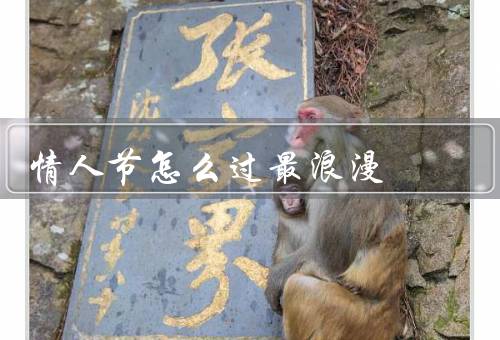 情人节怎么过最浪漫，早餐／约会／礼物