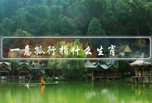 一意孤行指什么生肖，属鼠的人、属虎的人、属鸡的人