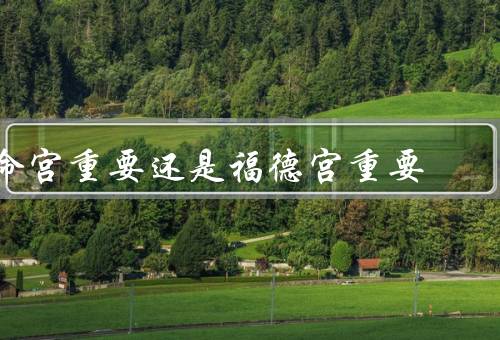 命宫重要还是福德宫重要，命宫重要／福德宫重要／综合分析