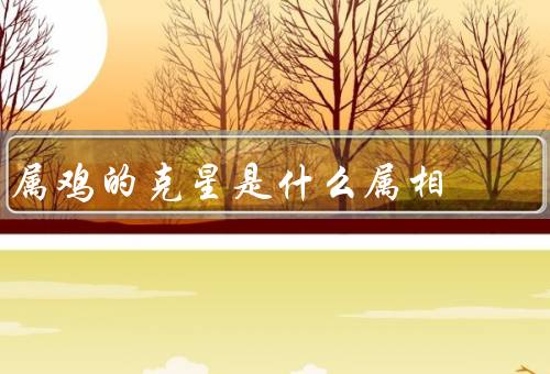 属鸡的克星是什么属相，相克关系／性格冲突／如何化解冲突