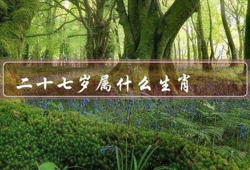 二十七岁属什么生肖