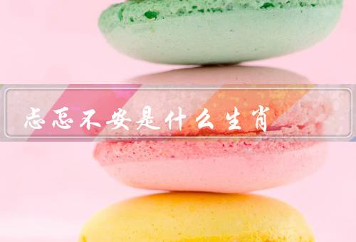 忐忑不安是什么生肖，忐忑不安特点／与生肖的关系／应对忐忑不安