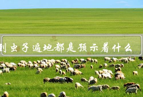梦到虫子遍地都是预示着什么（潜意识的显现／现实生活的困扰）