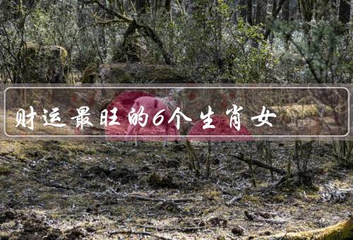 财运最旺的6个生肖女，鼠／兔／龙