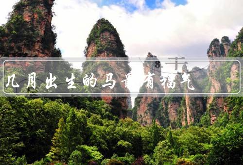 几月出生的马最有福气（一月出生的马、四月出生的马、七月出生的马）