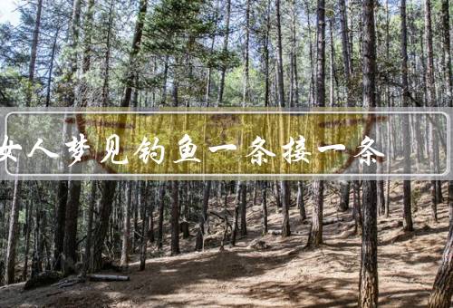 女人梦见钓鱼一条接一条，追求事业成功／享受爱情美满／财运亨通