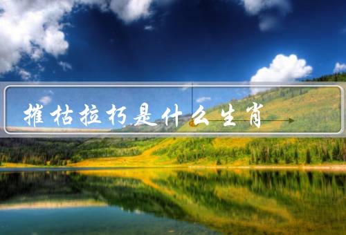 摧枯拉朽是什么生肖（生肖、龙特征、意义）