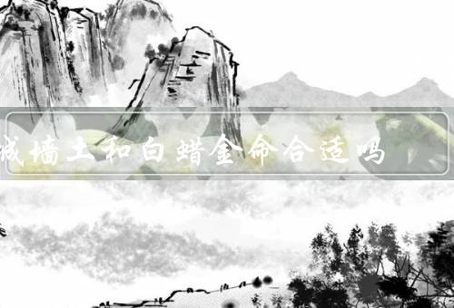 城墙土和白蜡金命合适吗（城墙土、白蜡金、结论）