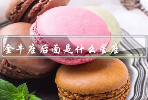 金牛座后面是什么星座，后面的双子座／与双子座的相互影响／结语