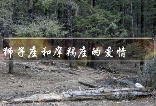 狮子座和摩羯座的爱情（狮子座的浪漫与、摩羯座的稳定与实际）