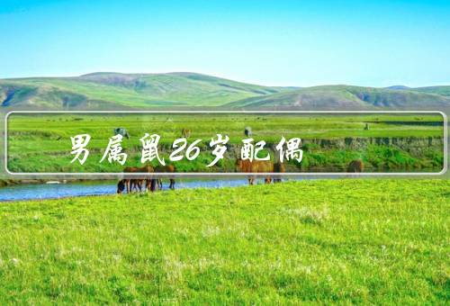 男属鼠26岁最佳配偶，理解支持／独立自主／温柔体贴