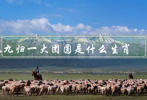 九九归一大团圆是什么生肖，猪年象征意义／背景／活动