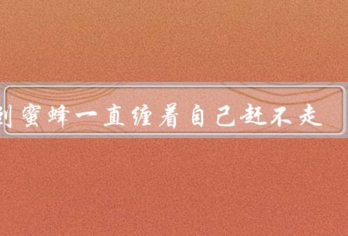 梦到蜜蜂一直缠着自己赶不走