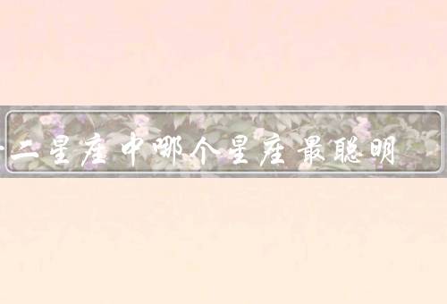 十二星座中哪个星座最聪明（思维能力、学习能力、创造力）