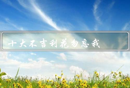 十大不吉利花勿忘我（曼陀罗／报恩草／风信子）
