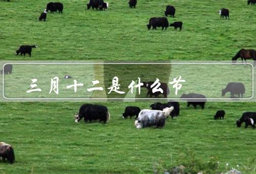 三月十二是什么节，来历、意义、庆祝活动