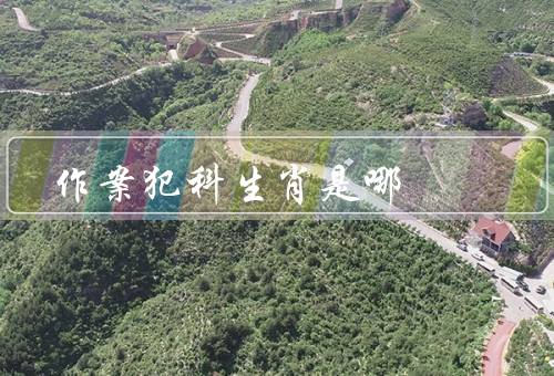 作案犯科生肖是哪一肖，虎／龙／蛇