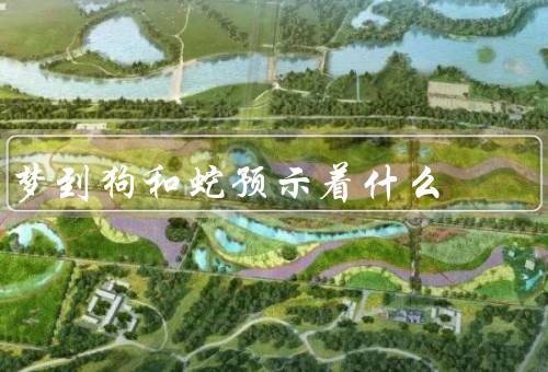 梦到狗和蛇预示着什么，狗、蛇、结论