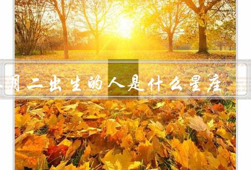 二月二出生的人是什么星座（特点／运势）
