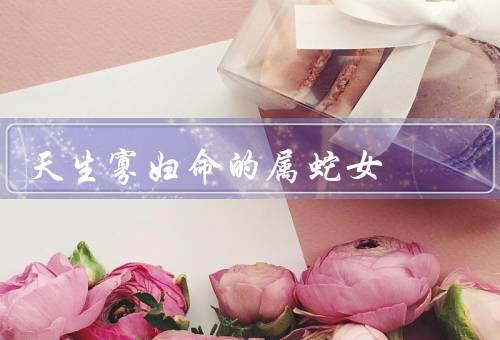 天生寡妇命的属蛇女（命运多舛、坚持寻找、积极改变）
