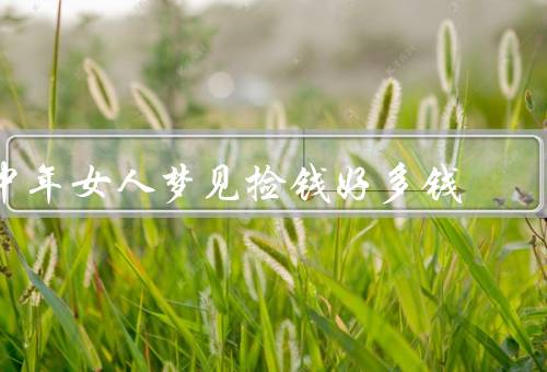 中年女人梦见捡钱好多钱（财富的预示、幸福的象征、自信心的增强）
