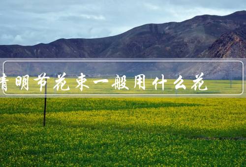 清明节花束一般用什么花（百合花束／菊花花束／康乃馨花束）