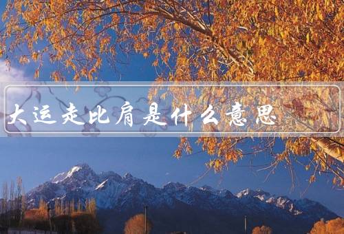 大运走比肩是什么意思，大运走比肩、集体合作、互相支持