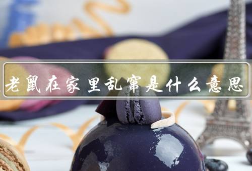 梦见老鼠在家里乱窜是什么意思，梦境中的老鼠／焦虑和不安