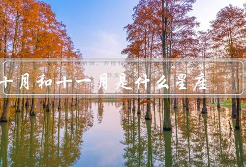 十月和十一月是什么星座（十月的星座：天蝎座）