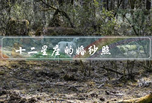 十二星座的婚纱照，白羊座、金牛座、双子座