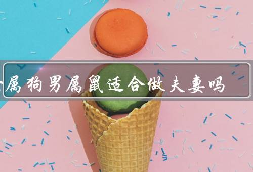 女属狗男属鼠适合做夫妻吗，相互扶持、共同成长、相互理解