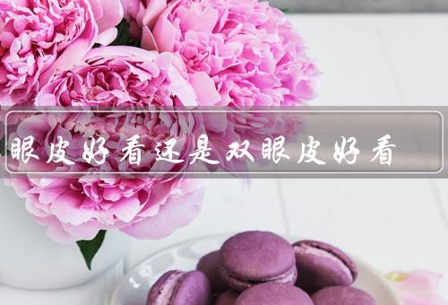 单眼皮好看还是双眼皮好看，单眼皮的魅力、双眼皮的优势