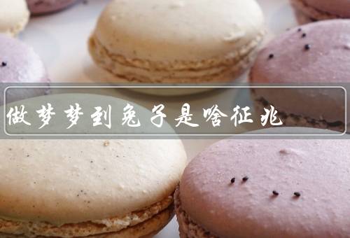 做梦梦到兔子是啥征兆