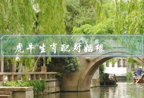 虎牛生肖配对姻缘，两者性格互补／相互吸引的特质／共同的人生态度