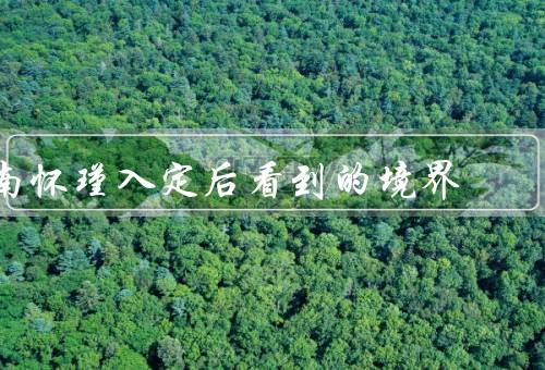 南怀瑾入定后看到的境界，南怀瑾与佛教的缘分／入定后的境界
