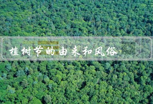 植树节的由来和风俗（由来／风俗习惯／意义）