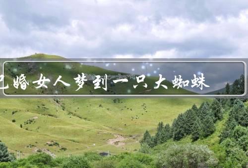 已婚女人梦到一只大蜘蛛（婚姻中的问题／面对挑战／积极应对）