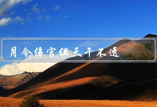 月令伤官但天干不透（月令伤官但天干不透的影响）