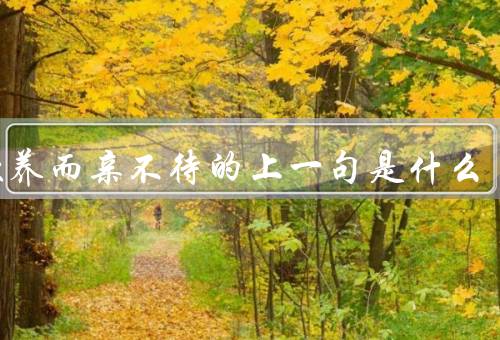 子欲养而亲不待的上一句是什么（家庭变迁引发的问题）