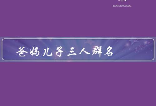 爸妈儿子三人群名，父亲／母亲／儿子