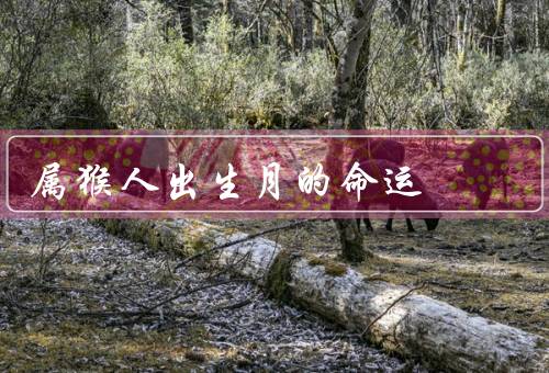 属猴人出生月的命运，大吉月份／中吉月份／小吉月份