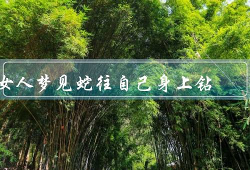 女人梦见蛇往自己身上钻，梦境的象征意义／解读个人心理