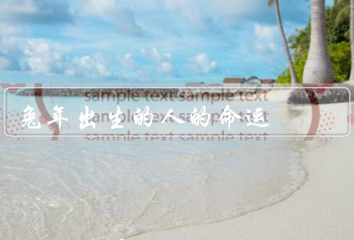 兔年出生的人的命运，事业方面、人际关系方面、财富方面