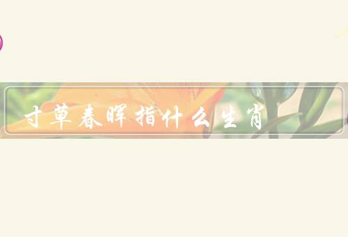寸草春晖指什么生肖，寸草春晖／兔子的特征／生肖兔的运势