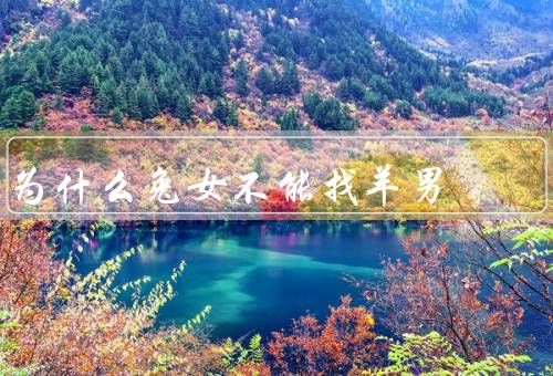 为什么兔女不能找羊男，性格不合／生活习惯不同／价值观不一致