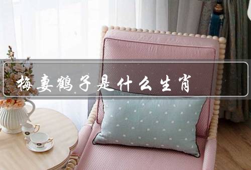 梅妻鹤子是什么生肖（故事、与生肖关系、寓意）
