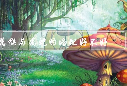 属猴与属蛇的婚配好不好（婚姻生活、结论）