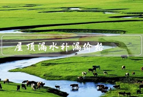 屋顶漏水补漏价格，屋顶材料及工作量决定价格／地区因素影响价格