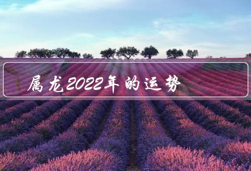 属龙2022年的运势（事业运势／财运／感情运势）
